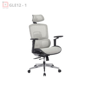 Ghế Công Thái Học GLE12-2