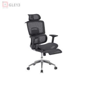 Ghế Công Thái Học GLE13