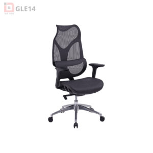 Ghế Công Thái Học GLE14