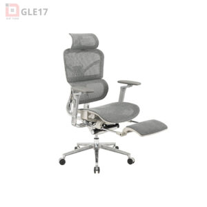 Ghế Công Thái Học GLE17