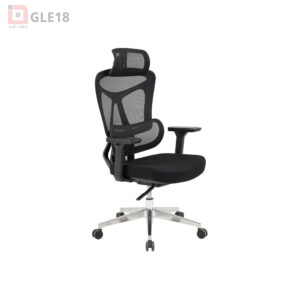 Ghế Công Thái Học GLE18