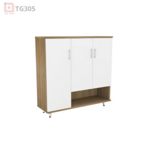 Tủ giày TG305