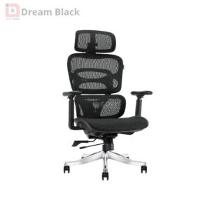 Ghế công thái học Ergonomic Dream Black
