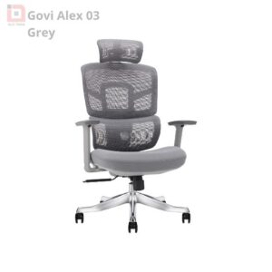 Ghế công thái học Ergonomic Govi Alex 03 Grey