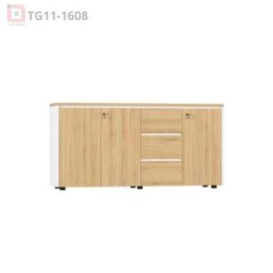 Tủ tài liệu gỗ TG11-1608