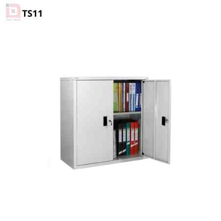 TS11