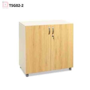 Tủ cánh gỗ TSG02-2