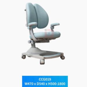 Ghế học sinh chống gù CCG019