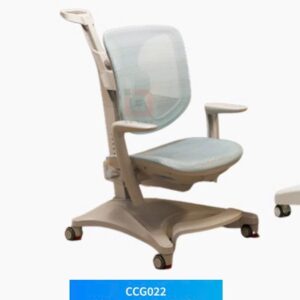 Ghế học sinh chống gù CCG022