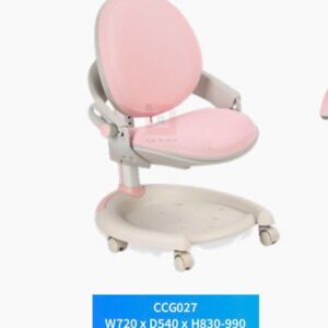 Ghế học sinh chống gù CCG028