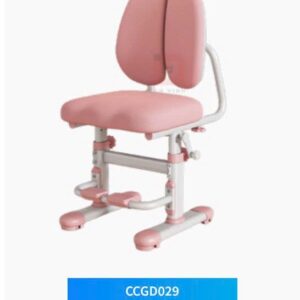 Ghế học sinh chống gù CCG029